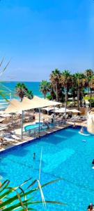 荷兹利亚Cosy Studio in a Luxury Hotel的一座棕榈树和海洋的大型游泳池
