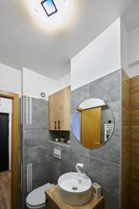 布拉索夫Romantic Studio的一间带水槽和镜子的浴室