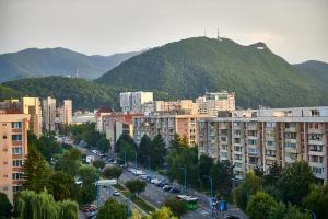 布拉索夫Romantic Studio的一座有建筑的城市和一座山底