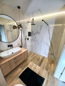 卡托维兹Kima Apartament Bażantów 29的浴室配有盥洗盆和带镜子的淋浴