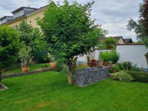 卡佩尔-格拉芬豪森Haus Schneider的一座花园,花园内种有树木,设有石墙