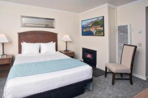 蒙特雷弗兰卡别墅旅馆的酒店客房配有一张床和一个壁炉。