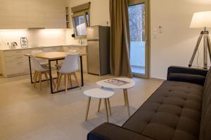 海若克利欧Uni Island - City Center Suites的带沙发和桌子的客厅以及厨房。