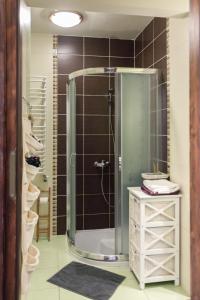 韦特利纳Wetlinowo的带淋浴的浴室和玻璃门