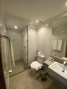 AracêCOND Vista azul hotel的浴室配有卫生间、淋浴和盥洗盆。