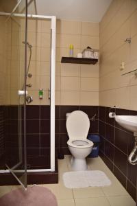 Mikulov v Krušných Horách克布旅馆的一间带卫生间和水槽的浴室