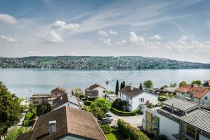 塔尔维尔塞达提斯瑞士品质酒店的享有湖泊城镇的空中景致