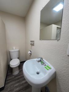 克拉马斯福尔斯豪华套房酒店的一间带水槽、卫生间和镜子的浴室