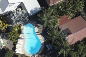 圣路易斯Le Pavillon的享有棕榈树游泳池的顶部景致