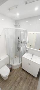 韦尔瓦Hispania House的带淋浴、卫生间和盥洗盆的浴室
