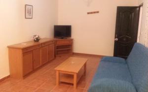 科尼尔-德拉弗龙特拉帕赛拉斯公寓的客厅配有蓝色的沙发和电视