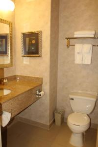 皇后区Marco LaGuardia Hotel & Suites的一间带卫生间和水槽的浴室