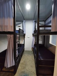 班达亚齐Lala Hostel的宿舍间内的一组双层床