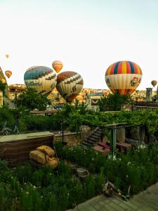 格雷梅谷子德窑洞酒店的一组热气球飞越花园