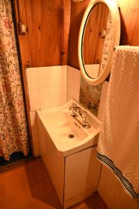 斯利那加Kings Houseboats的一间带水槽和镜子的浴室
