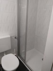 奥斯纳布吕克Gemütliche Wohnung in Osnabrück的一间带卫生间和玻璃淋浴间的浴室