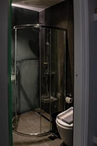 阿基欧斯尼古拉斯Ikaros Art Hotel的一间带卫生间的浴室内的玻璃淋浴间