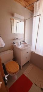 香普森Résid. La Bruyère 18的一间带水槽、卫生间和镜子的浴室