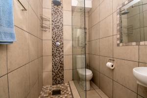 德班10 Bronze Bay Umhlanga Rocks的带淋浴、卫生间和盥洗盆的浴室