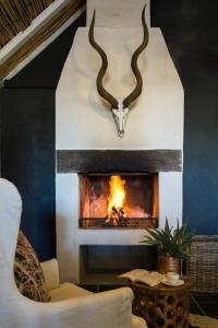 BritstownSweetfontein Boutique Farm Lodge的墙上的壁炉及羚羊头