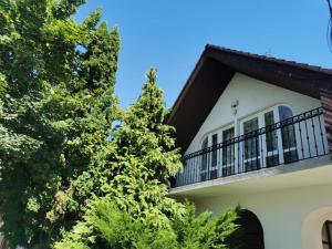 豪伊杜索博斯洛Kossuth Apartman的带阳台和树木的房子