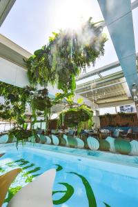 康斯坦察维拉雷纳酒店的一座带椅子和植物的游泳池