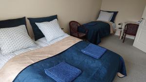 欧登塞Cichy zakątek的一间卧室配有两张带蓝色床单和枕头的床。
