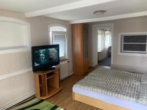 卡罗维发利Malý byt 1+1的一间卧室配有一张床和一台平面电视
