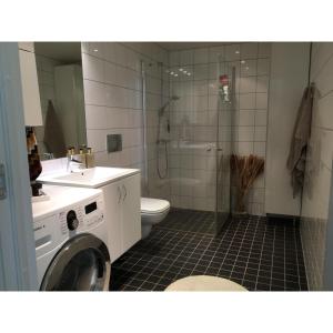 格里姆斯塔Koselig leilighet med balkong og sjøutsikt.的浴室配有卫生间水槽和洗衣机。