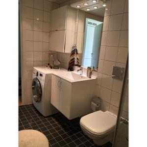 格里姆斯塔Koselig leilighet med balkong og sjøutsikt.的浴室配有卫生间、盥洗盆和洗衣机。