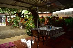 奎波斯城Casa Quepos的一个带桌子和一束植物的庭院