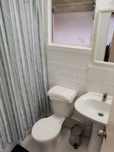 圣费尔南多Casa acogedora en excelente ubicación de San Fernando的浴室配有白色卫生间和盥洗盆。