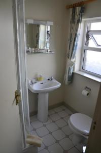 Allihies海景旅馆的一间带水槽和卫生间的浴室
