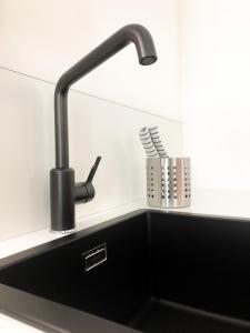 特伦托CityU - Grazioli 27 Trento Centro con parcheggio privato的厨房水槽配有水龙头和牙刷架