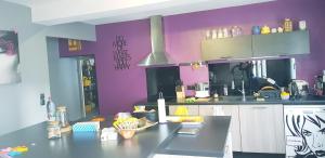 艾马尔格Butterfly Bedroom in Sweet Home的厨房设有紫色墙壁和台面