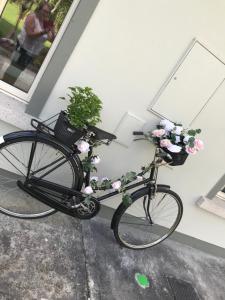 梅努斯Laithreach Briuin B&B W23E0H9的挂在墙上的篮子里装有鲜花的自行车