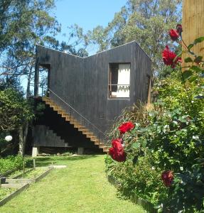 拉佩德雷拉Posada IRSIS的一座黑色房子,在玫瑰园里设有楼梯
