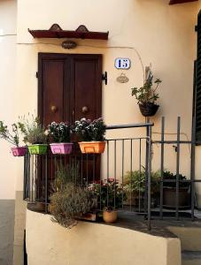 佛罗伦萨佛罗伦萨韦基亚公寓的门前有盆栽植物的建筑