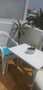 科斯塔德安提瓜Home sweet home的白色桌子和椅子,植物