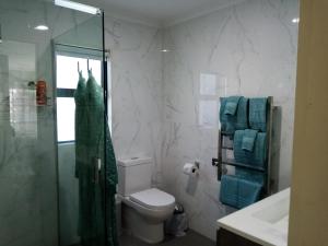 芒格努伊山Sunbrae Beach luxury的带淋浴、卫生间和盥洗盆的浴室