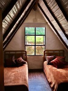 瓜塔维塔Toscana的带窗户的客房内的两张床