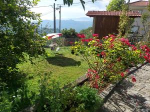 ValadaresCastelo dos Sonhos的院子里种着粉红色花的花园