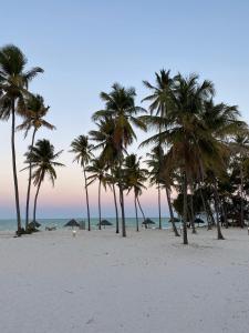 帕杰Cristal Resort的海滩上一棵棕榈树和大海