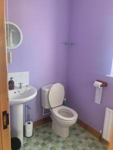 ArticlaveMussenden House的紫色浴室设有卫生间和水槽