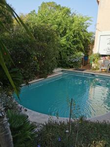 马赛APPARTEMENT EN SOUS SOL DE VILLA avec accès jardin et piscine的一座树木繁茂的庭院内的游泳池