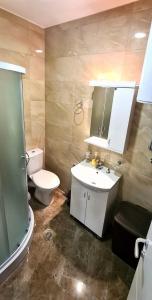 索科矿泉村Apartmani Lavanda的浴室配有卫生间、盥洗盆和淋浴。