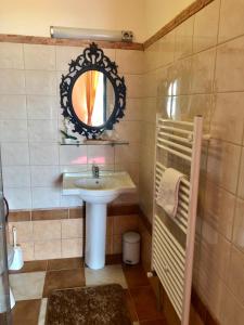 米尔茨楚施拉格Lambach Villa的一间带水槽和镜子的浴室