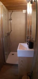 JaujacCharmante Roulotte atypique的一间带水槽和淋浴的浴室