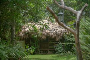 拉斯加勒拉斯Aventura Rincon Ecolodge的花园中带茅草屋顶的小屋