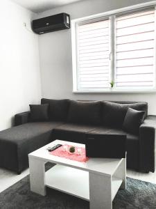 索科矿泉村Apartman DEA的客厅配有黑色沙发和桌子